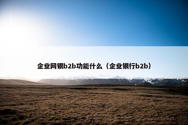 企业网银b2b功能什么(企业银行b2b)