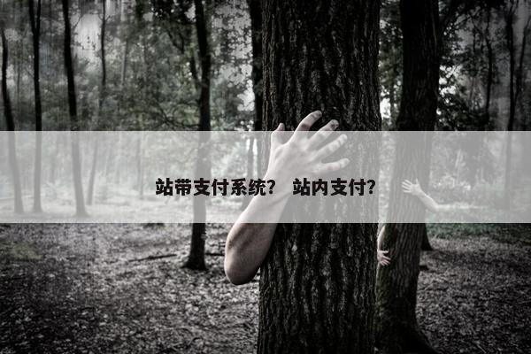 站带支付系统? 站内支付?
