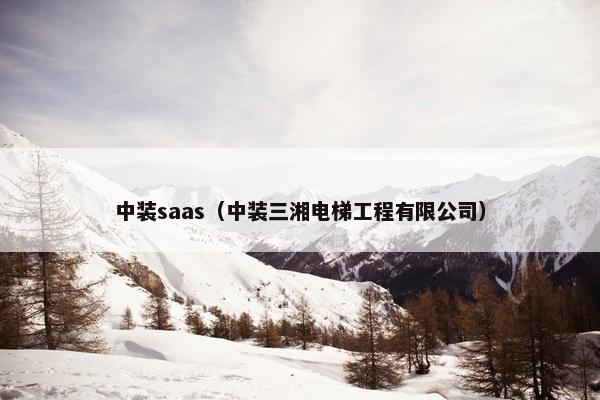 中装saas(中装三湘电梯工程有限公司) 中装saas(中装三湘电梯工程有限公司)