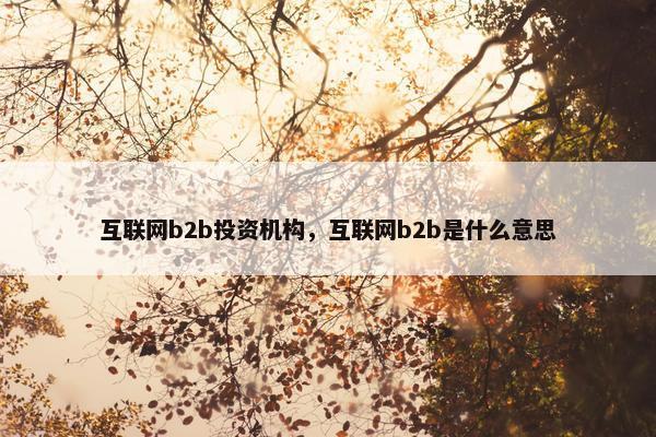 互联网b2b投资机构,互联网b2b是什么意思