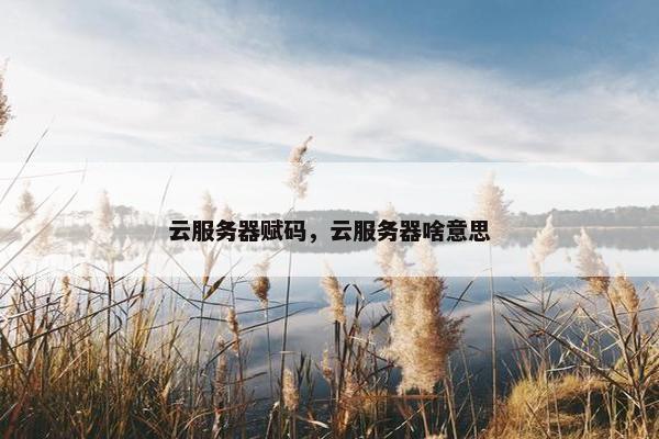 云服务器赋码,云服务器啥意思 云服务器赋码,云服务器啥意思