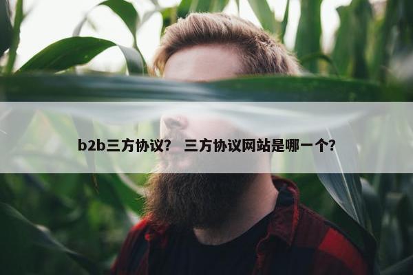b2b三方协议? 三方协议网站是哪一个? b2b三方协议? 三方协议网站是哪一个?
