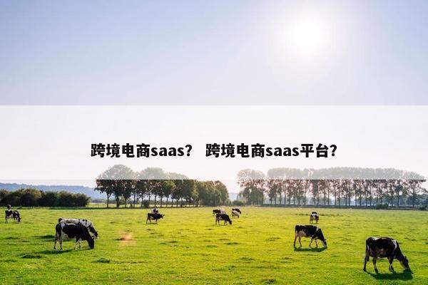跨境电商saas? 跨境电商saas平台?