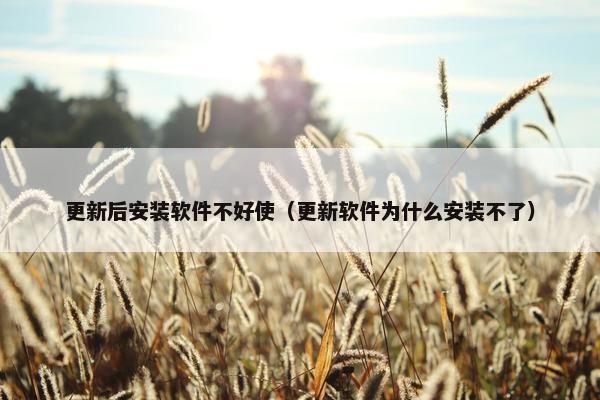 更新后安装软件不好使(更新软件为什么安装不了)