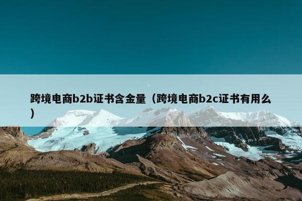 跨境电商b2b证书含金量(跨境电商b2c证书有用么)
