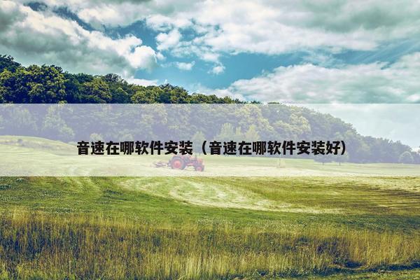 音速在哪软件安装（音速在哪软件安装好）