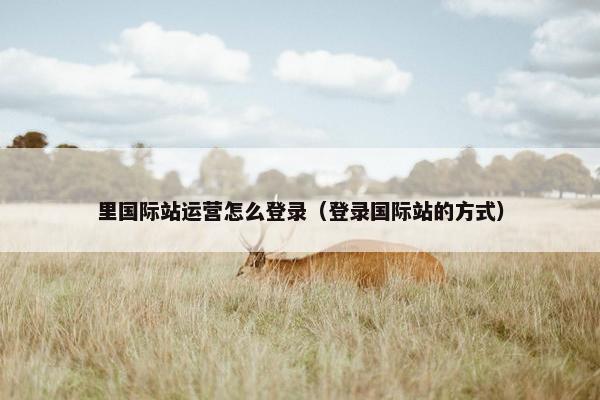 里国际站运营怎么登录（登录国际站的方式）
