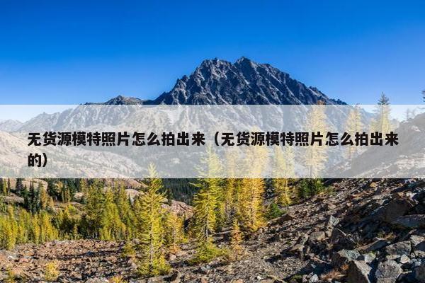 无货源模特照片怎么拍出来（无货源模特照片怎么拍出来的）