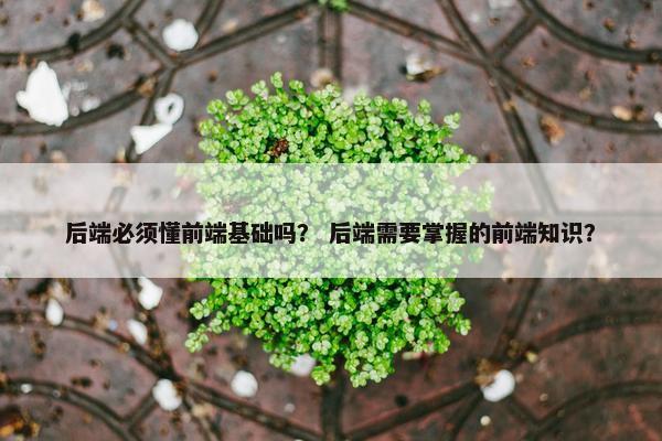 后端必须懂前端基础吗？ 后端需要掌握的前端知识？