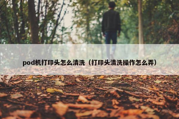 pod机打印头怎么清洗（打印头清洗操作怎么弄）