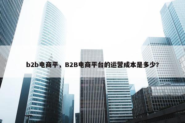 b2b电商平，B2B电商平台的运营成本是多少?