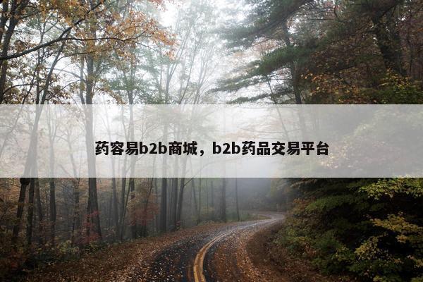药容易b2b商城，b2b药品交易平台