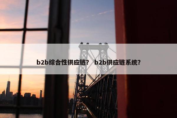 b2b综合性供应链? b2b供应链系统? b2b综合性供应链? b2b供应链系统?