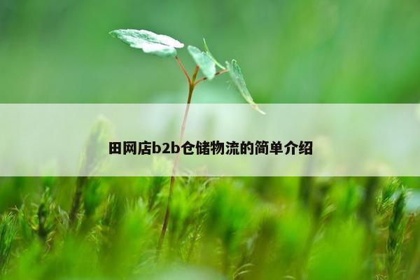田网店b2b仓储物流的简单介绍