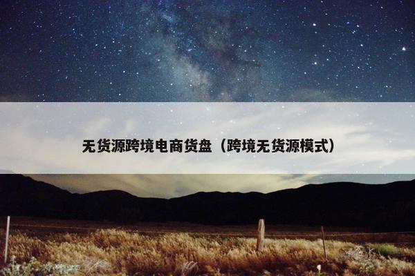 无货源跨境电商货盘（跨境无货源模式）
