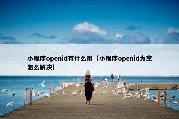 小程序openid有什么用（小程序openid为空怎么解决）