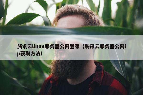 腾讯云linux服务器公网登录（腾讯云服务器公网ip获取方法）