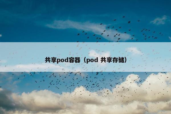 共享pod容器（pod 共享存储）