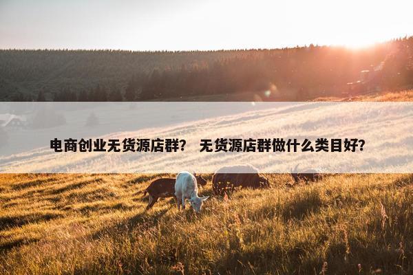 电商创业无货源店群？ 无货源店群做什么类目好？