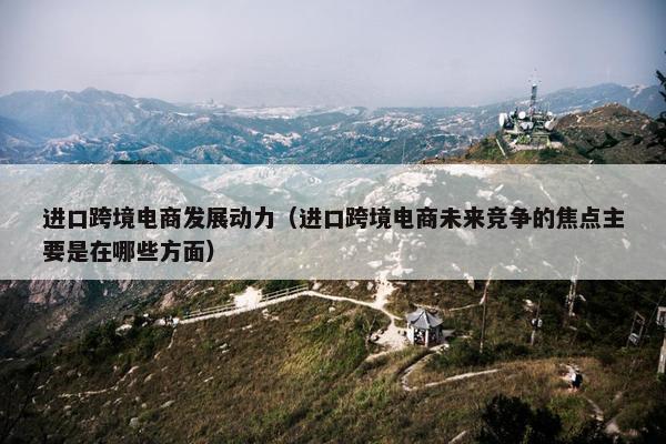 进口跨境电商发展动力（进口跨境电商未来竞争的焦点主要是在哪些方面）