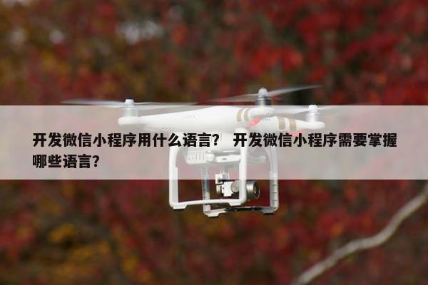 开发微信小程序用什么语言？ 开发微信小程序需要掌握哪些语言？