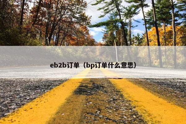 eb2b订单（bp订单什么意思）