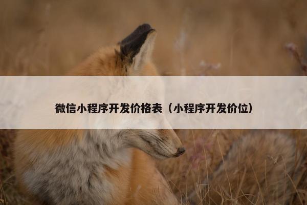 微信小程序开发价格表(小程序开发价位) 微信小程序开发价格表(小程序开发价位)