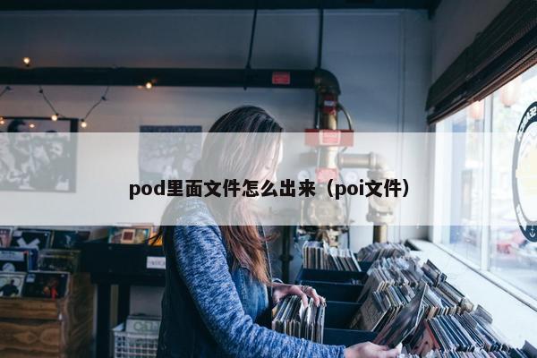 pod里面文件怎么出来（poi文件）