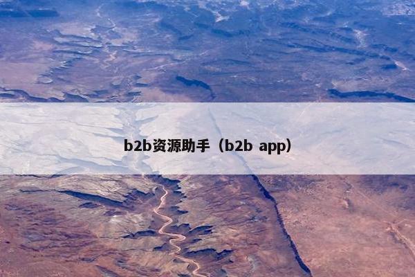 b2b资源助手（b2b app）