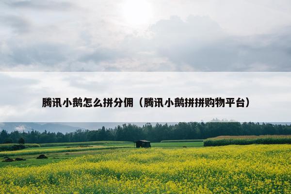腾讯小鹅怎么拼分佣（腾讯小鹅拼拼购物平台）