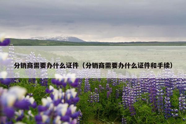 分销商需要办什么证件（分销商需要办什么证件和手续）