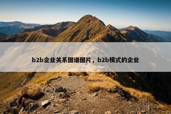 b2b企业关系图谱图片，b2b模式的企业