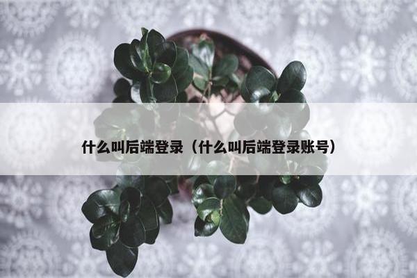 什么叫后端登录(什么叫后端登录账号) 什么叫后端登录(什么叫后端登录账号)