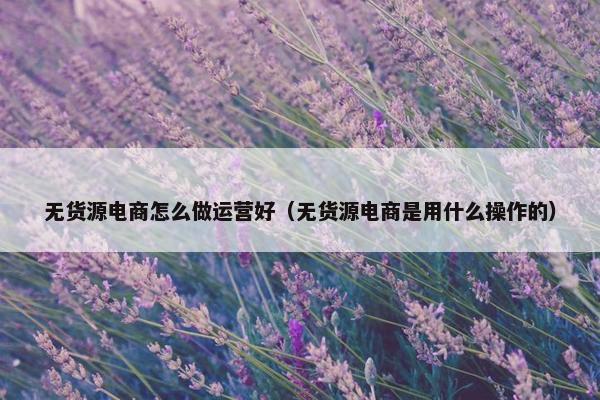 无货源电商怎么做运营好(无货源电商是用什么操作的) 无货源电商怎么做运营好(无货源电商是用什么操作的)