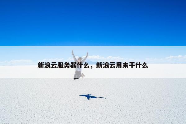 新浪云服务器什么，新浪云用来干什么