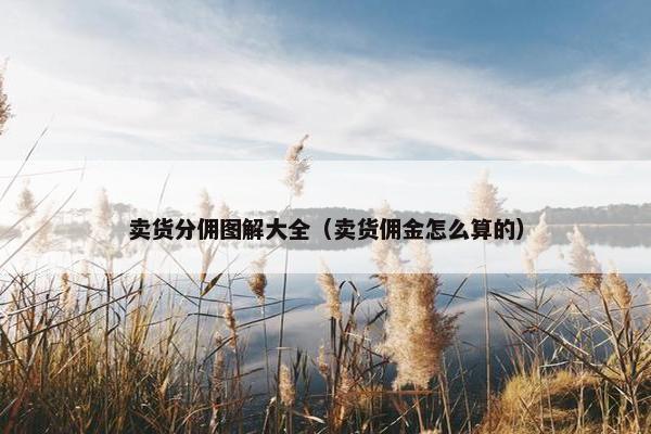 卖货分佣图解大全（卖货佣金怎么算的）