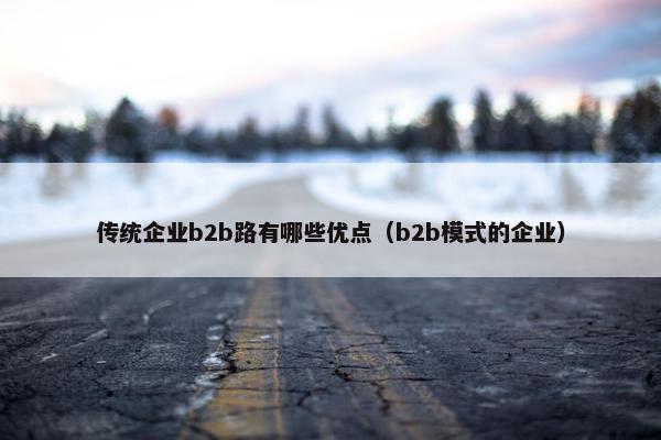 传统企业b2b路有哪些优点（b2b模式的企业）