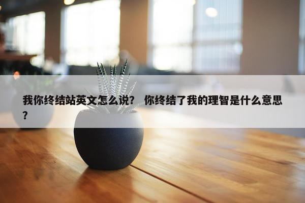 我你终结站英文怎么说？ 你终结了我的理智是什么意思？