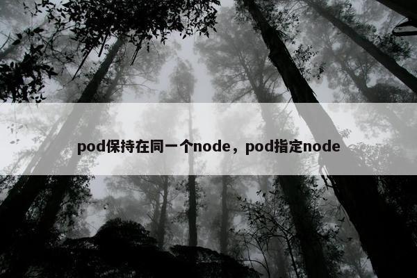 pod保持在同一个node，pod指定node