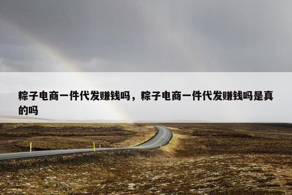 粽子电商一件代发赚钱吗，粽子电商一件代发赚钱吗是真的吗