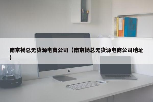 南京杨总无货源电商公司（南京杨总无货源电商公司地址）