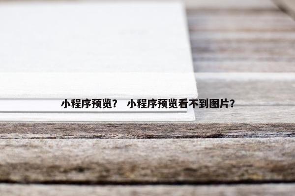 小程序预览？ 小程序预览看不到图片？