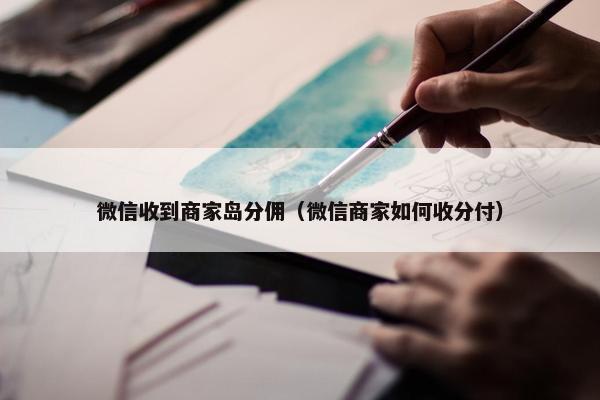 微信收到商家岛分佣（微信商家如何收分付）