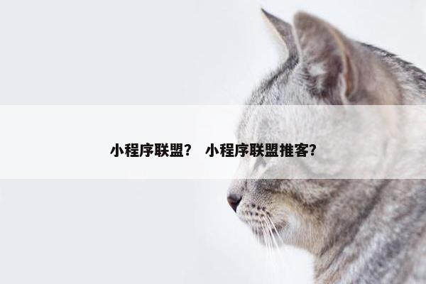 小程序联盟？ 小程序联盟推客？