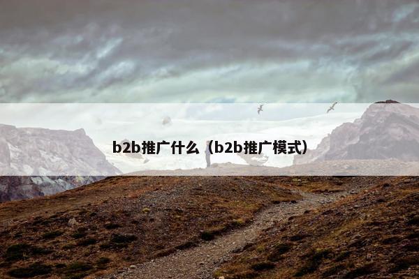 b2b推广什么（b2b推广模式）