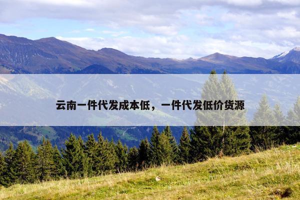 云南一件代发成本低，一件代发低价货源