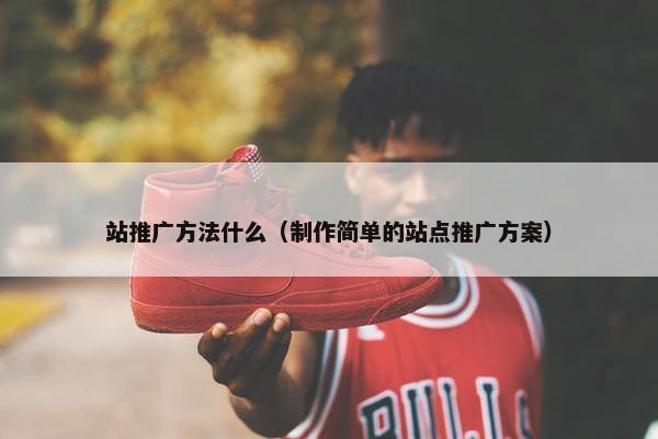 站推广方法什么（制作简单的站点推广方案）