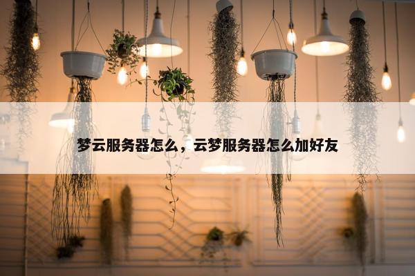 梦云服务器怎么，云梦服务器怎么加好友