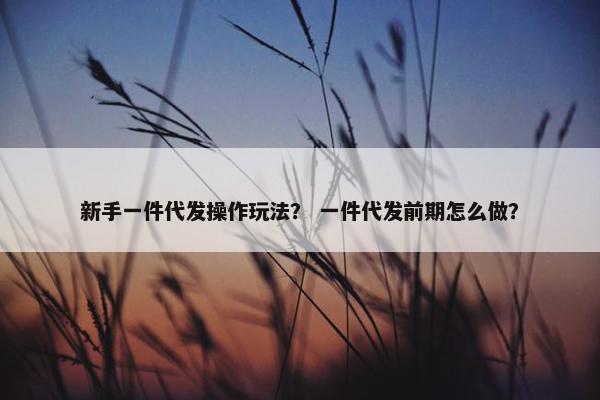 新手一件代发操作玩法？ 一件代发前期怎么做？