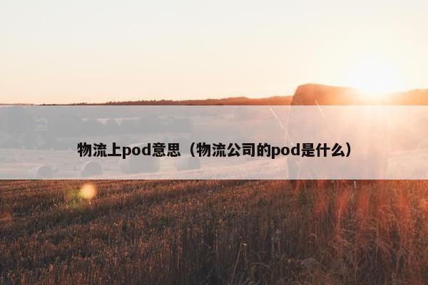 物流上pod意思（物流公司的pod是什么）